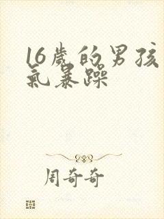 16岁的男孩脾气暴躁