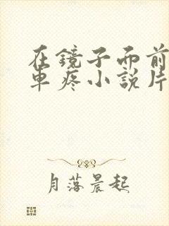 在镜子面前做开车疼小说片段