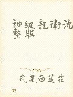 神级龙卫沈浪完整版