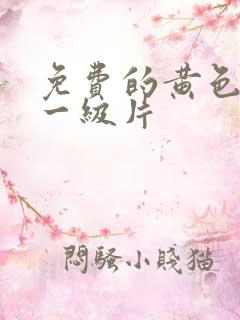 免费的黄色录像一级片