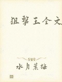 狙击王全文阅读