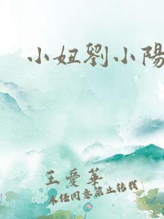 小妞刘小阳