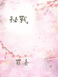 秘战