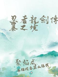 忍者龙剑传:狂暴之境