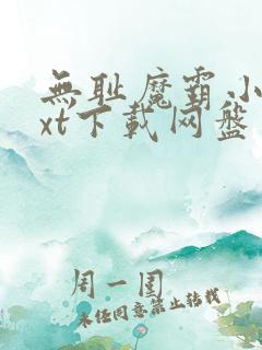 无耻魔霸小说txt下载网盘