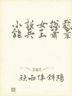 小说女总裁的全能兵王萧晨