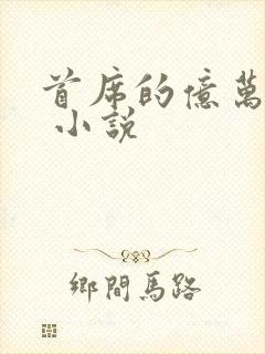 首席的亿万甜妻 小说