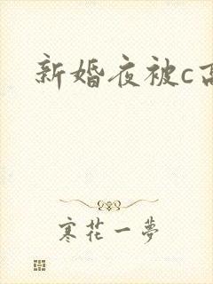 新婚夜被c高h