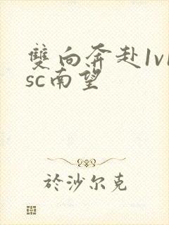 双向奔赴1v1sc南望