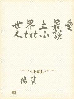 世界上最爱我的人txt小说
