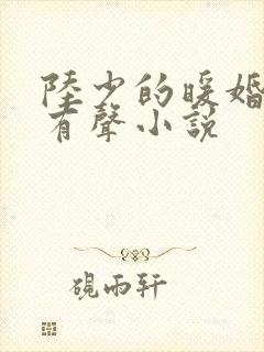 陆少的暖婚新妻有声小说