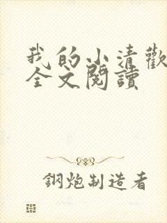 我的小清欢在线全文阅读