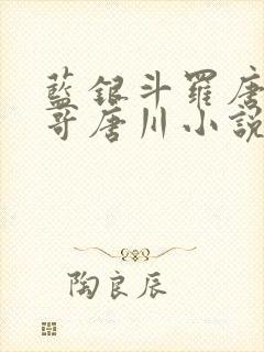 蓝银斗罗唐三哥哥唐川小说