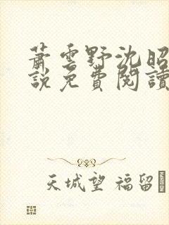 萧云野沈昭宁小说免费阅读最新章节