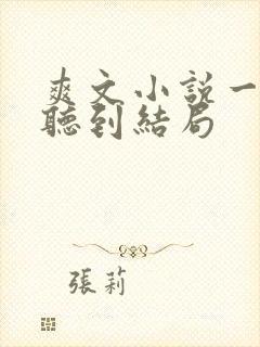 爽文小说一口气听到结局