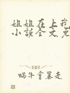 姐姐在上我在下小说全文免费阅读