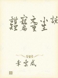 甜宠文小说推荐短篇重生