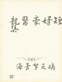 龙医豪婿短剧全集