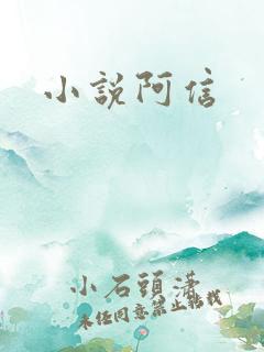 小说阿信