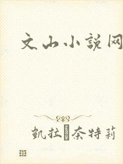文山小说网