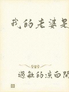 我的老婆是卧底