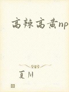 高辣高黄np