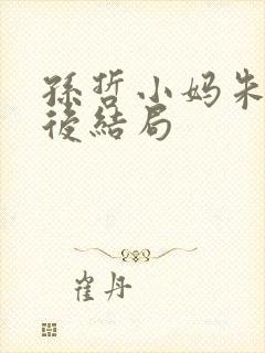 孙哲小妈朱颜最后结局