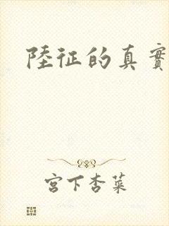 陆征的真实身份