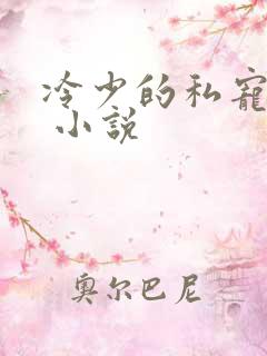 冷少的私宠宝贝 小说