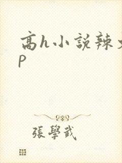 高h小说辣文np