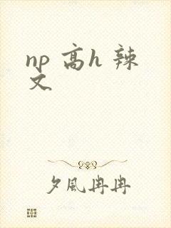 np 高h 辣文