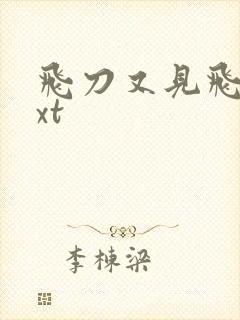 飞刀又见飞刀txt