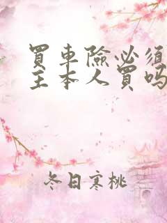 买车险必须是车主本人买吗