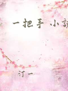 一把手 小说