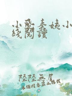 小飞秦姨小说在线阅读