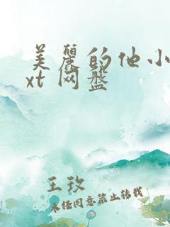 美丽的他小说txt 网盘