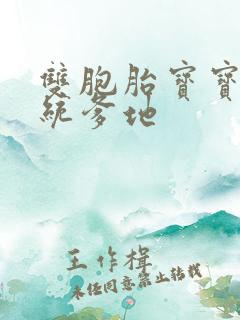 双胞胎宝宝的总统爹地