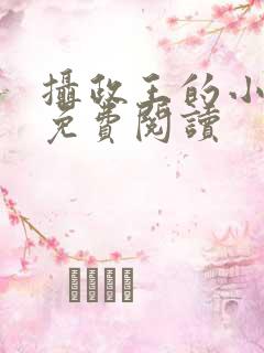 摄政王的小娇妃免费阅读