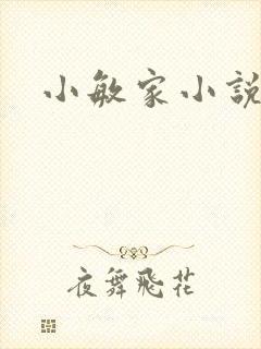 小敏家小说