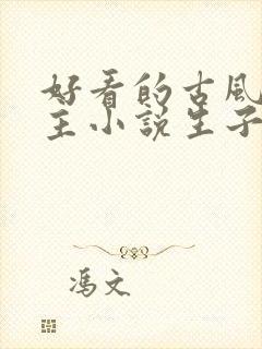 好看的古风双男主小说生子