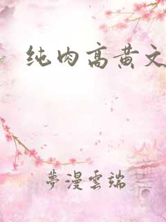 纯肉高黄文