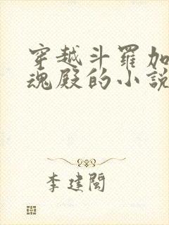 穿越斗罗加入武魂殿的小说