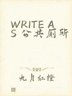 WRITE AS 公共厕所