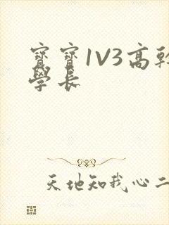 宝宝1V3高干学长