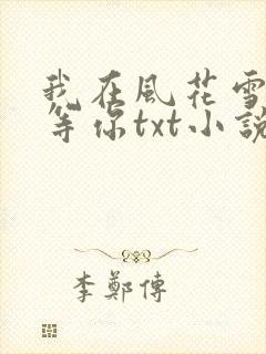 我在风花雪月里等你txt小说