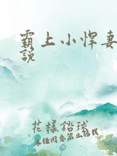 霸上小悍妻 小说