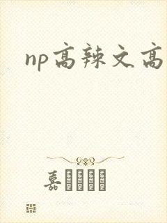 np高辣文高h