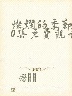 灿烂的季节第40集免费观看