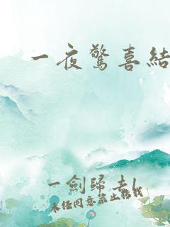 一夜惊喜结局