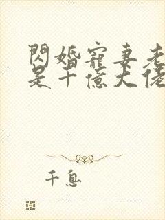 闪婚宠妻老公竟是千亿大佬免费阅读